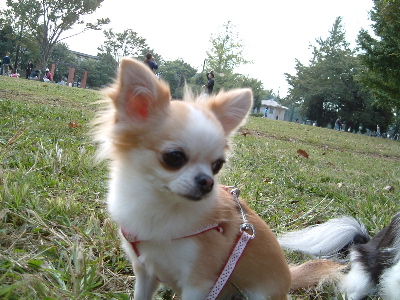 a0079803_09650.jpg