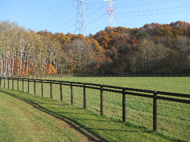 f0041606_18393325.jpg