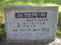 f0041606_18415711.jpg