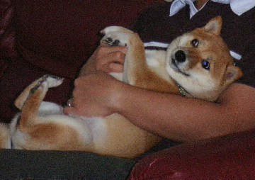f0004309_0441532.jpg