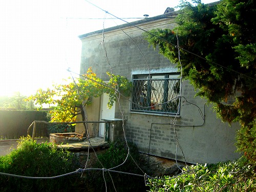 b0064411_820472.jpg