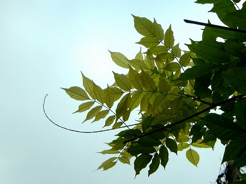 b0064411_841498.jpg