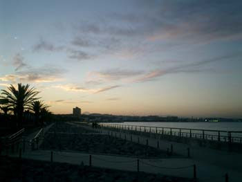 e0038811_11313317.jpg