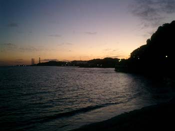 e0038811_1133032.jpg