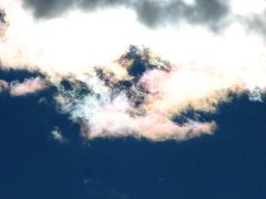 b0053414_20242463.jpg