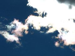 b0053414_2024784.jpg