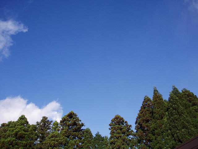 c0086014_21272728.jpg