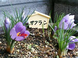 e0026017_14401598.jpg