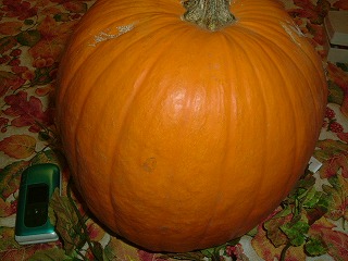 f0037623_21304338.jpg