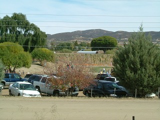f0037623_21332724.jpg