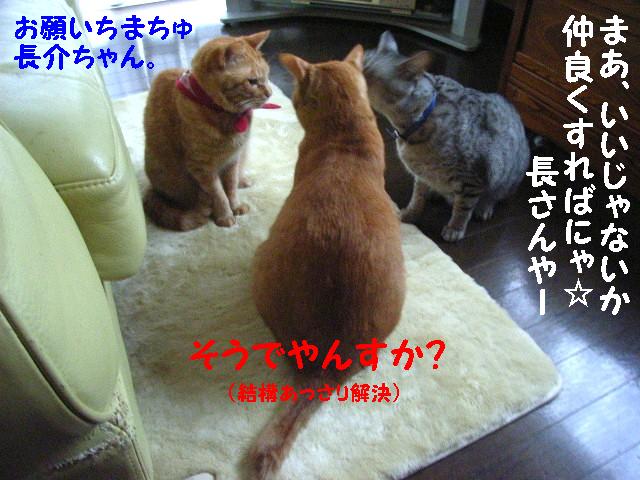 d0081025_18513613.jpg