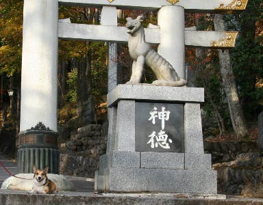 e0071225_1122631.jpg