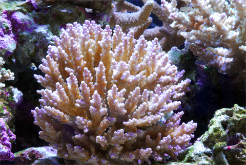 f0033126_9214966.jpg