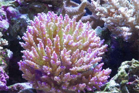 f0033126_9261242.jpg