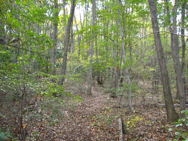 b0097836_23163998.jpg