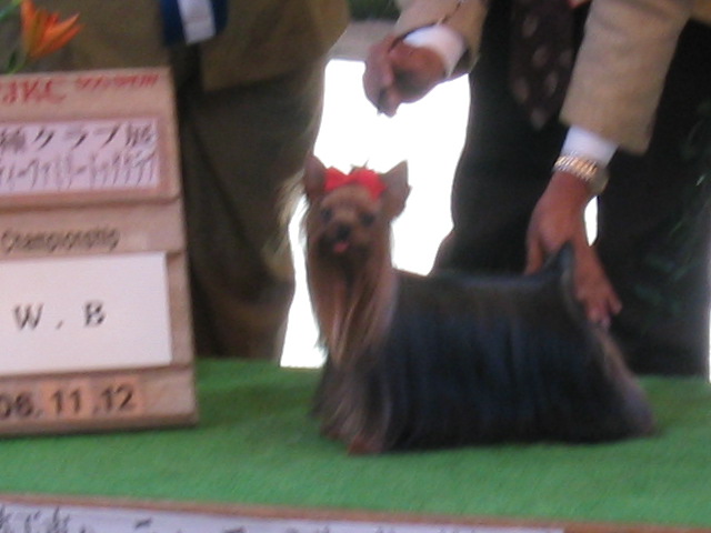 e0051636_22572590.jpg
