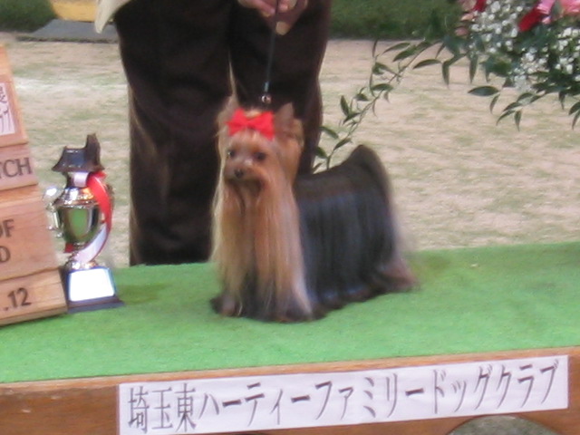 e0051636_22574341.jpg