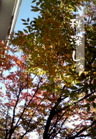 c0046340_18195257.jpg