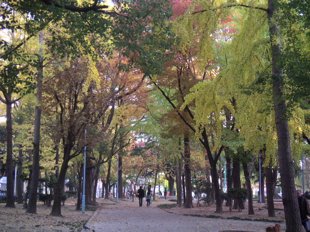 b0060646_235479.jpg