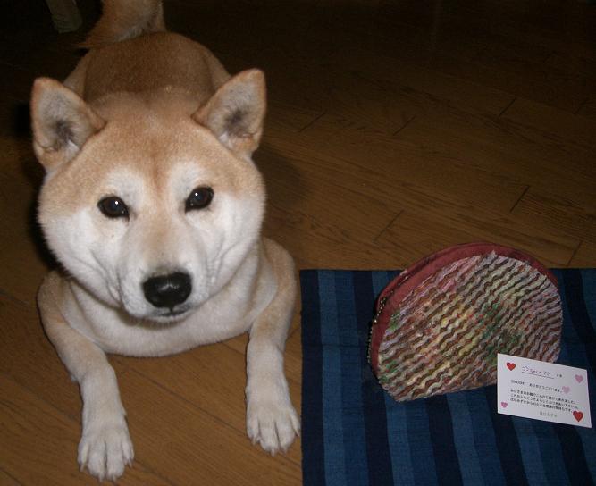 f0099148_2043570.jpg