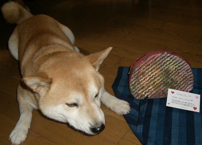f0099148_2045691.jpg