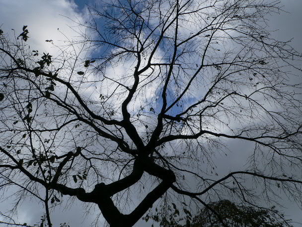 e0017051_21212757.jpg