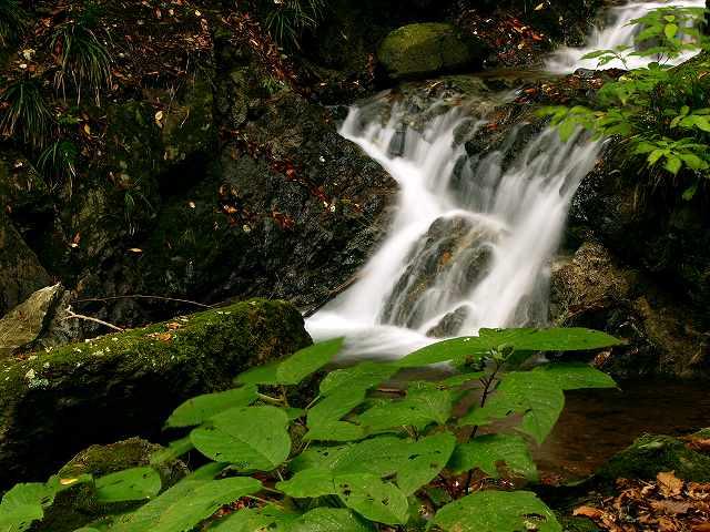 e0063851_18595981.jpg