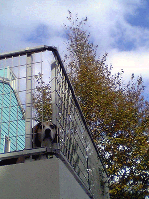 b0005652_10555877.gif