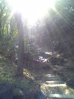 b0001453_38366.jpg