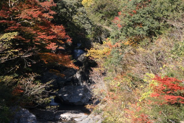 a0052156_21375464.jpg