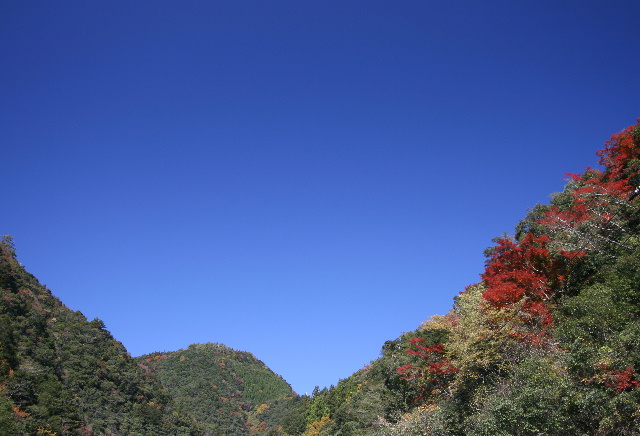 a0052156_23105032.jpg