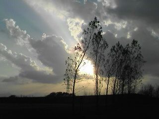 a0004359_2046667.jpg