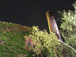 a0004359_2047552.jpg