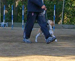 e0007060_21112986.jpg