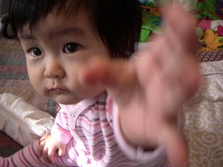 a0072371_22515667.jpg