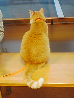 f0095271_961896.jpg