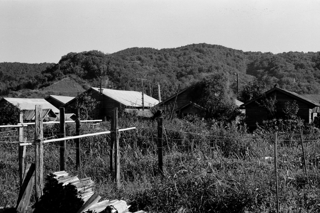 e0100772_22143983.jpg