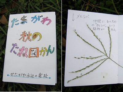 c0091679_23242245.jpg