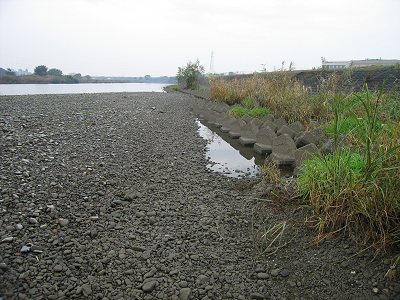 c0091679_23334316.jpg