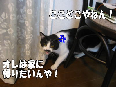 b0041182_12555099.jpg