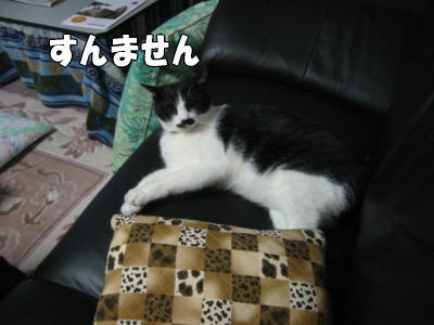 b0041182_12563781.jpg