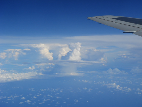 e0047682_1529616.jpg