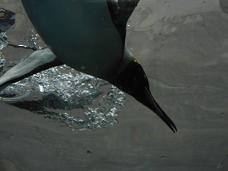 c0082888_23393711.jpg