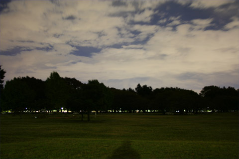 b0046290_12141631.jpg