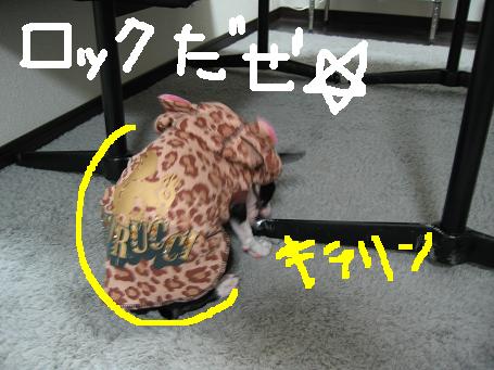 c0092097_915661.jpg