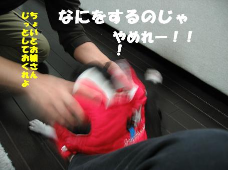 c0092097_9203460.jpg
