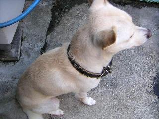 a0018200_15126100.jpg