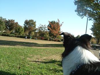 a0065800_12204573.jpg