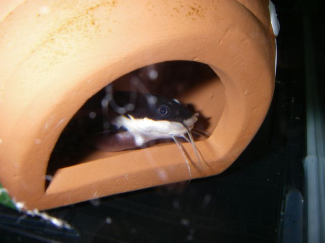 e0010301_16432100.jpg