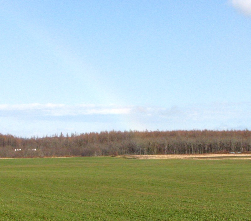f0020302_18411133.jpg